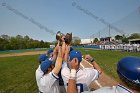 Baseball vs Babson  Wheaton College Baseball players celebrate their victory over Babson to win the NEWMAC Championship for the third year in a row. - (Photo by Keith Nordstrom) : Wheaton, baseball, NEWMAC